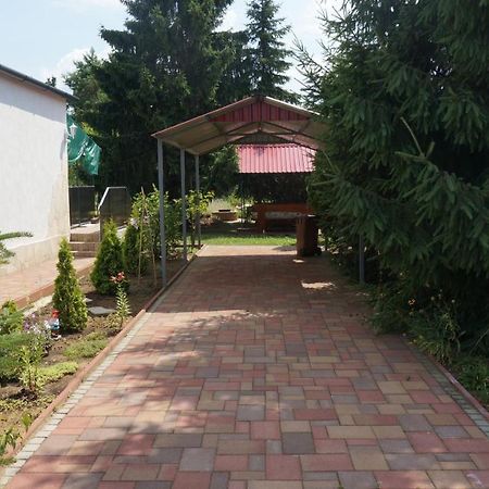 Sunny Apartman Nyíregyháza Buitenkant foto