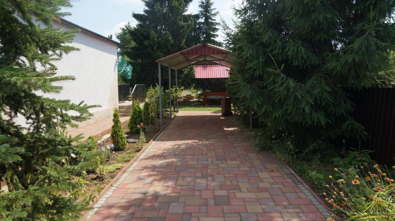 Sunny Apartman Nyíregyháza Buitenkant foto